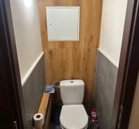 WC fa dekor padlóval egy kétszobás lakásban.