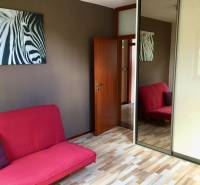 Szoba rózsaszín kanapéval, zebra kép és tükrös szekrény, fa mintázatú padló.