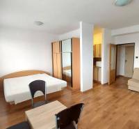 1 szobás lakás fa dekorációs padlóval, ággyal, kanapéval és szekrénnyel.