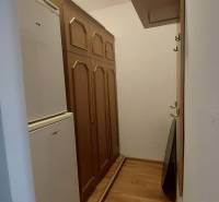 1 szobás lakás folyosója fa szekrényekkel és fapadlóval.