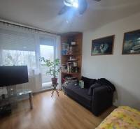 Nappali egy egyszobás lakásban, fa dekorációjú padlóval és kanapéval.