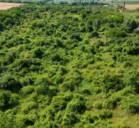 A zöld terület kiterjedt kereskedelmi telkeket borít Ivanka pri Nitre-ben, mezők és fák veszik körül.