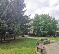 Padokok és fák egy lakóház előtt Pozsonyban - Pozsonypüspökin a Priekopnícka utcán.