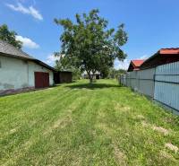 Kilátás egy zöld telekre Zemplínska Širokában, ideális lakhatásra, látható épületekkel.