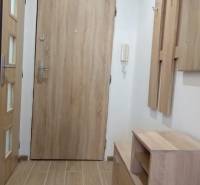 Előszoba egy egyszobás lakásban fa dekorációval és praktikus bútorokkal.