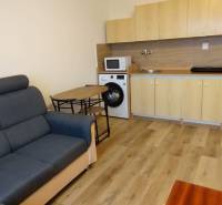 Nappali egy egyszobás lakásban kanapéval, konyhasarokkal és fa dekorációjú padlóval.