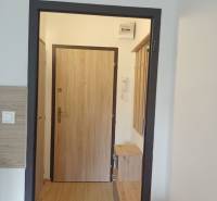 Garzonlakás belső tér fa dekorációjú padlóval és fa ajtókkal.