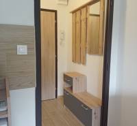 Előszoba egy garzonlakásban fa dekoros padlóval és fogasfallal.