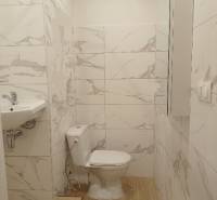 Garzonlakás fürdőszobája WC-vel, mosdóval és fa dekor padlóval.