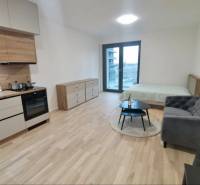 Konyhapult, ágy, kanapé és fa dekorációjú padló az egyszobás lakásban.