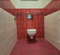 Fürdőszoba családi házban függesztett WC-vel, piros csempével, kis ablakkal, járólappal.