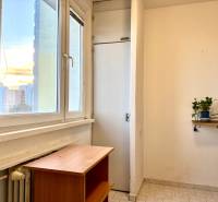 1 szobás lakás belső tere ablakkal, asztallal, polcon növényekkel és az ablak alatt radiátorral.