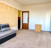 Szoba szőnyegpadlóval, kanapéval és szekrénnyel egy egyszobás lakásban.