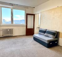 Nappali egy egyszobás lakásban kanapéval és nagy ablakkal, amin fény árad be.