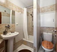 Fürdőszoba zuhanyzóval, mosdóval és WC-vel egy egyszobás lakásban.