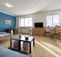 1 szobás lakás fa mintázatú padlóval, dohányzóasztallal és kék fallal.