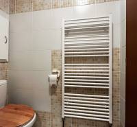 Fürdőszoba egy egyszobás lakásban, fehér és mozaik csempékkel, létra radiátorral és WC-vel.