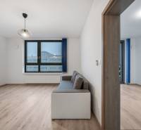 Nappali kanapéval, nagy ablakkal és fa dekorációjú padlóval egy kétszobás lakásban.