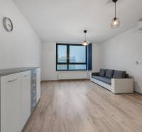 Nappali egy kétszobás lakásban kanapéval és fa dekor padlóval.