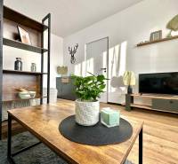 Nappali egy egyszobás lakásban, fa dekorációjú padlóval és dekorációkkal.