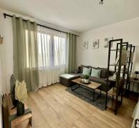 Egyszobás lakás belső tere kanapéval, asztallal és fa dekorációjú padlóval.