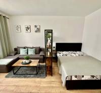 Nappali egy egyszobás lakásban kanapéval, ággyal és dekorációkkal, fa dekoros padlóval.