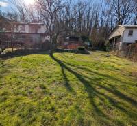 Napos telken Semse mellett, a házikónál, füves terület és fa található.