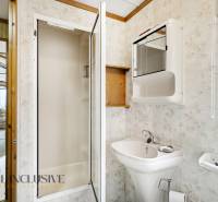 Fürdőszoba a házikóban mosdóval, zuhanyzóval és tükörrel, fa elemekkel.