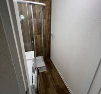 Fürdőszoba a garzonlakásban fa mintázatú padlóval, zuhanyzóval és mosógéppel.