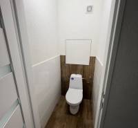 Fa dekorációjú padlóval ellátott WC egy garzonlakásban.