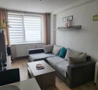 Nappali kanapéval, asztallal és fa dekorációjú padlóval egy kétszobás lakásban.