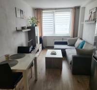 Nappali egy kétszobás lakásban kanapéval és fa mintázatú padlóval.