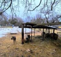 Telkek - lakóhely a Mierová utcában Krásnohorské Podhradíban, kutyával és juhokkal a tető alatt.