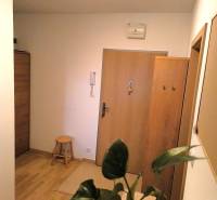 A kétszobás lakás bejárati része fa mintás padlóval és szobanövénnyel.