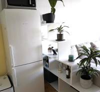 Kétszobás lakás belső tere stílusos fehér polccal és fa mintázatú padlóval.