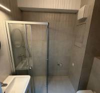 Kompakt fürdőszoba modern zuhanyzóval és tükörrel a garzonlakásban.