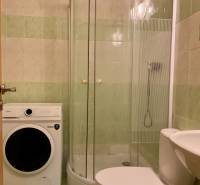 Fürdőszoba mosógéppel, zuhanyzóval és WC-vel a garzonlakásban.