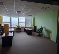 Irodák asztalokkal, székekkel és növényekkel fa dekorációjú padlón.