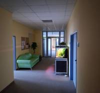 Irodák akváriummal, zöld kanapéval és növénnyel.