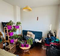 Szoba egy családi házban növényekkel, kanapéval és asztallal egy nagy ablak előtt.