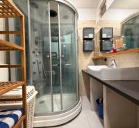 Fürdőszoba zuhanyzóval és mosdóval, fa dekorációval, 3 szobás lakás.