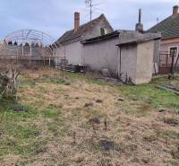 Családi ház kertje Udvardon, elhanyagolt telekkel és üvegház szerkezettel.