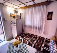 A ház belseje hűtőszekrénnyel, kanapéval, asztallal és kilátással a kertre.