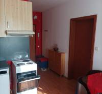 Konyha egy egyszobás lakásban, fa dekor padlóval.