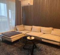 Világos kanapé egy kétszobás lakásban fa dekorációval a falon és asztallal.