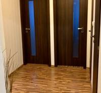 Előszoba két ajtóval, fa mintázatú padlóval és egy növénnyel.