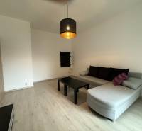 Nappali fa mintás padlóval, kinyitható kanapéval és minimalista bútorokkal egy egyszobás lakásban.