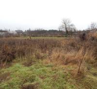 Fás és bokros füves telek Dunamocsán, ideális családi ház építésére.