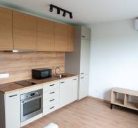 ovocne_sady_byt_na_prenajom_kuchyna