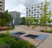 ovocne_sady_byt_na_prenajom_exterier